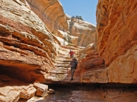 Slickrock in Bullet Canyon